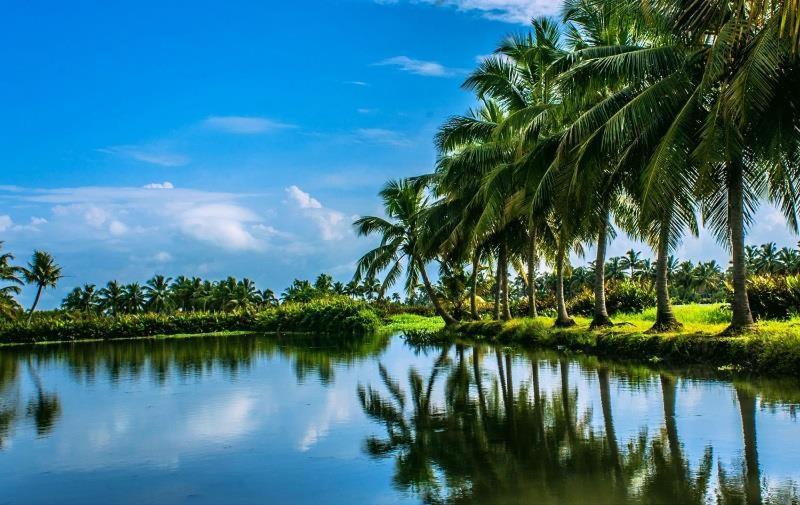 Golden Beach Home Stay Alappuzha Esterno foto