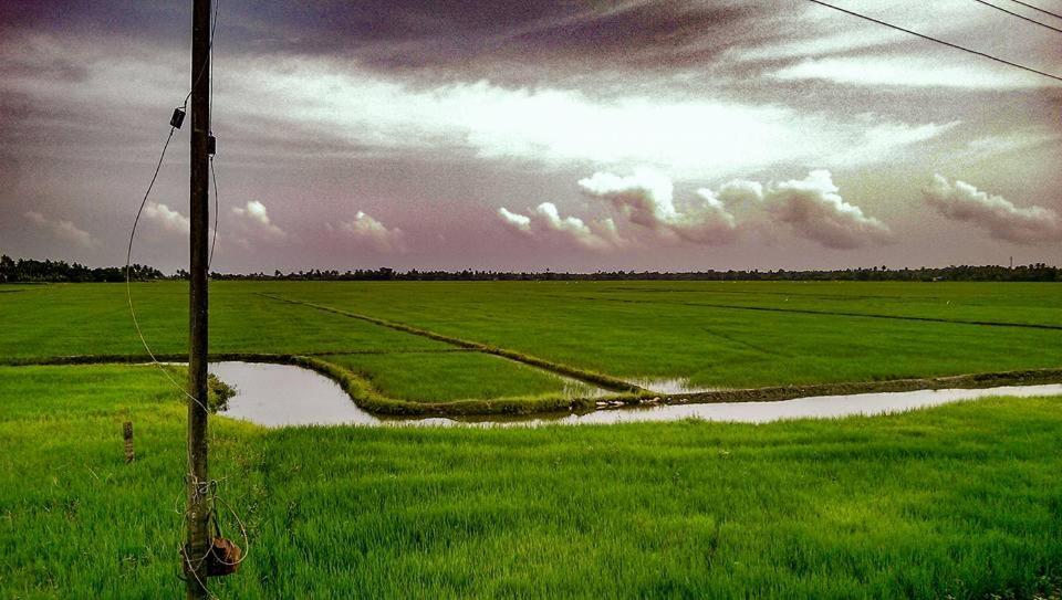 Golden Beach Home Stay Alappuzha Esterno foto